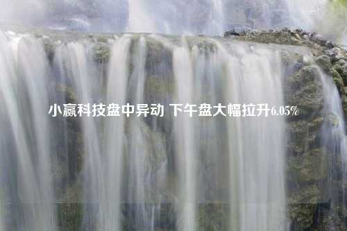 小赢科技盘中异动 下午盘大幅拉升6.05%